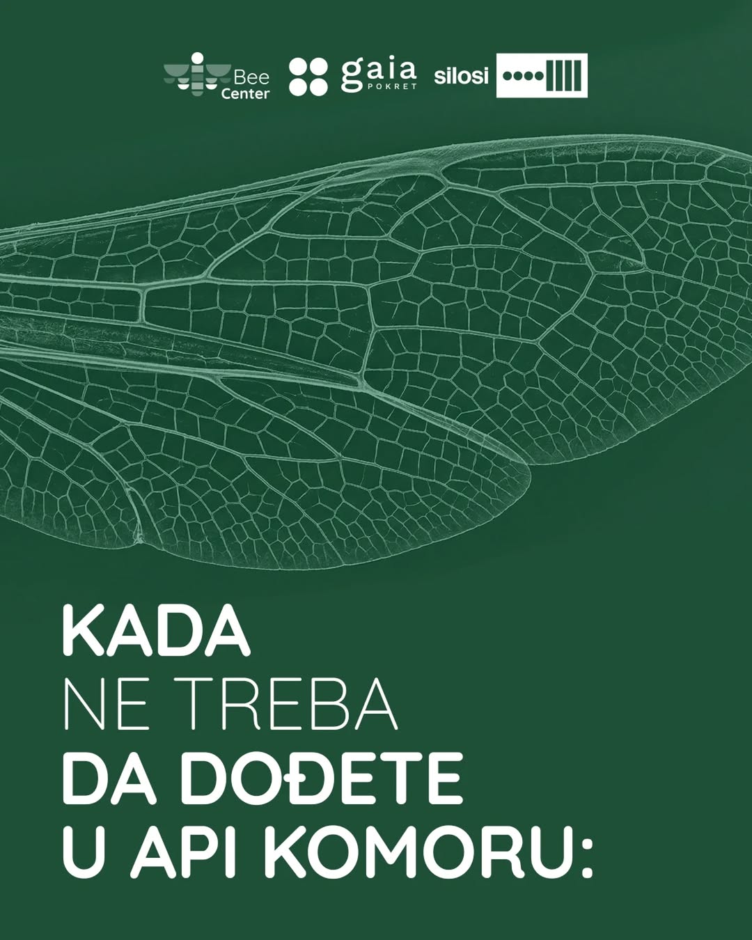Silosi, mart 2026: Apiterapija u api komori – inhalacija i vibracije ...